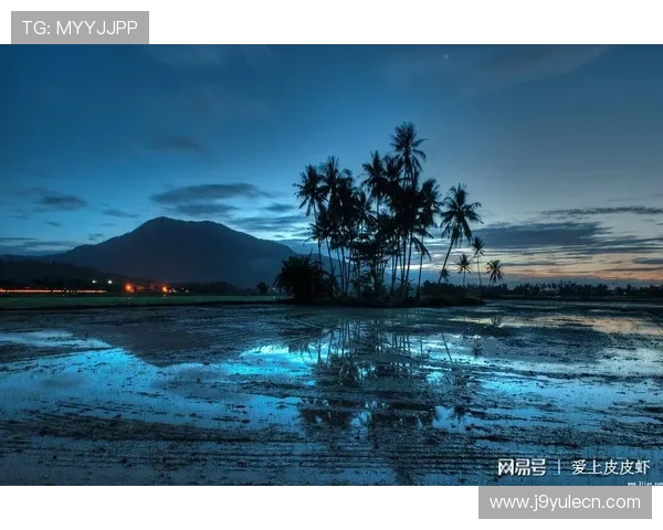 九游娱乐滚球盘优惠活动不断推出为玩家带来更多实惠和惊喜